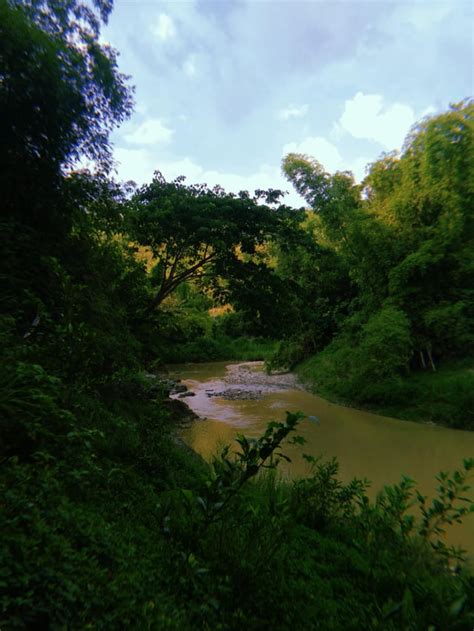 cebu walker telegram|REDDIT CEBU TELEGRAM GROUPCHAT : r/Cebu.